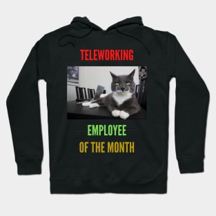 Teleworking - Employee of the Month: The Cat II Hoodie